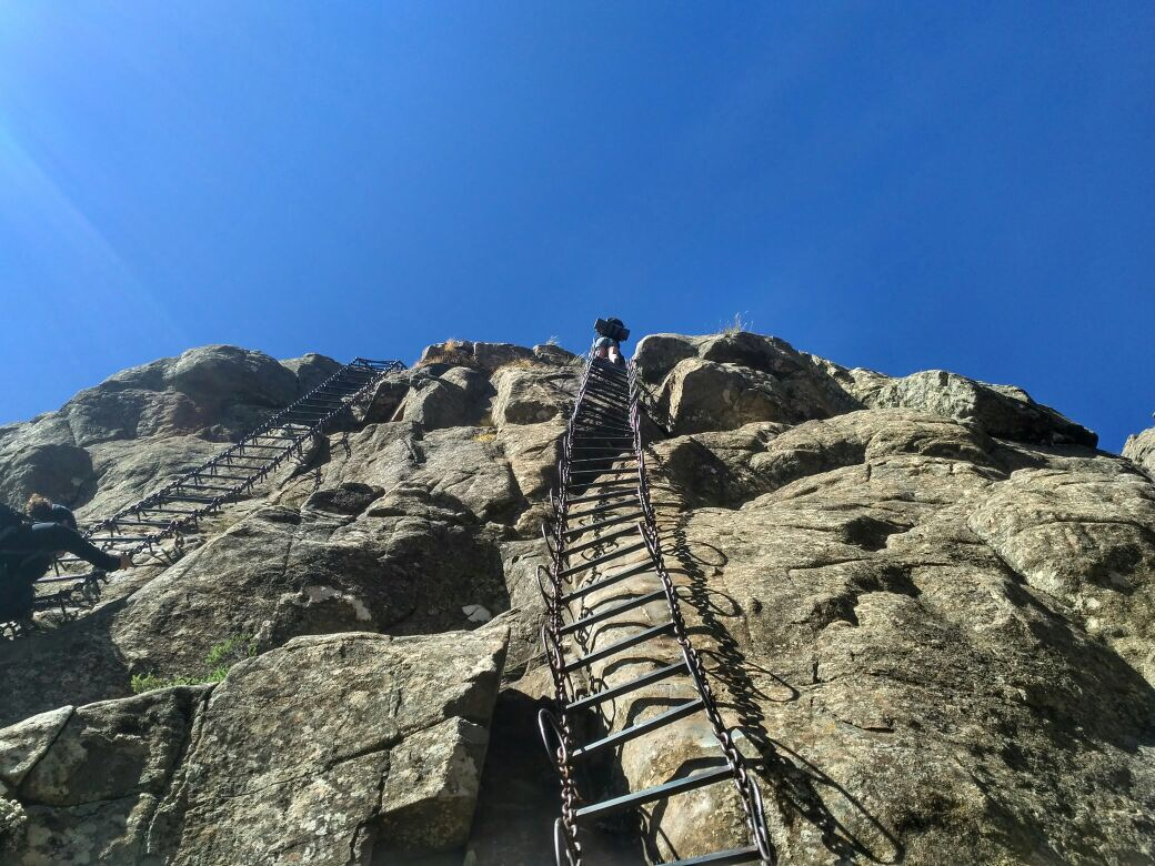 Wonderboom Hike